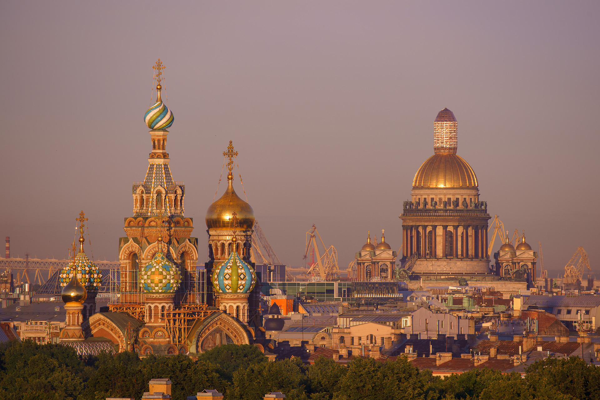 Фото Indigo St. Petersburg-Tchaikovskogo