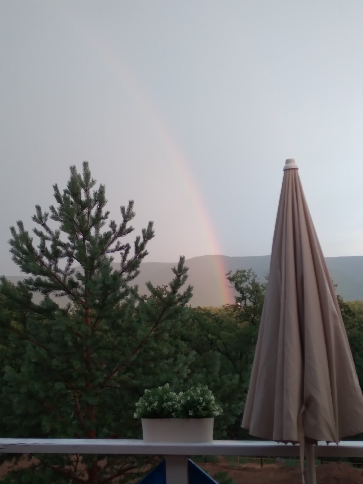 Фото Маламут Ленд