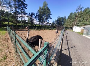 Контактный зоопарк (Минская область, Воложинский район, Раковский сельсовет), зоопарк в Минской области