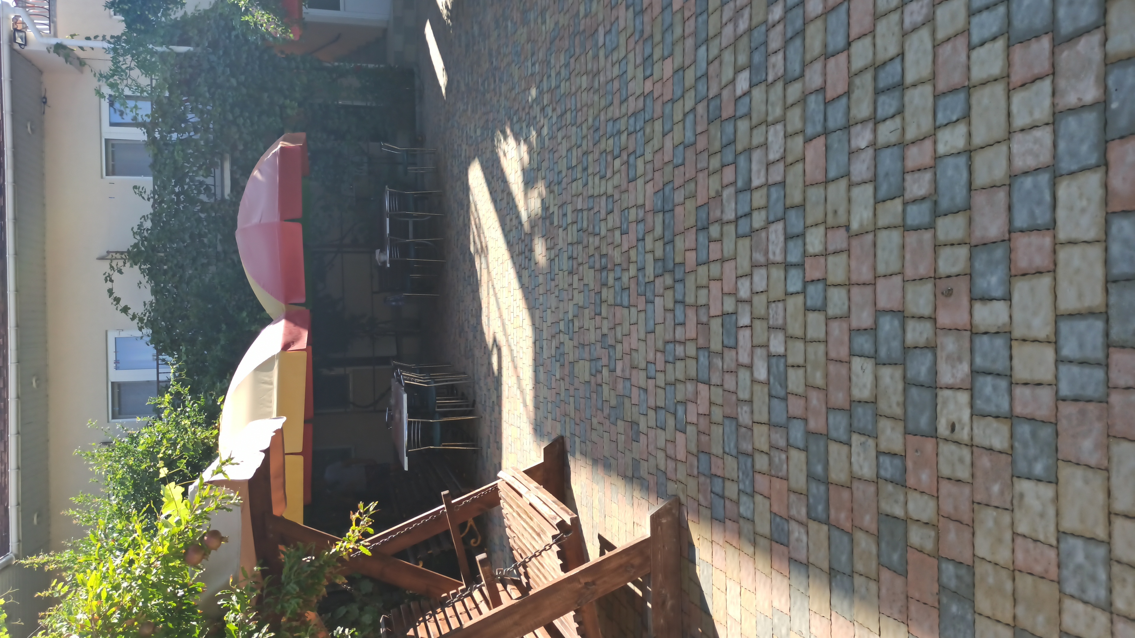 Фото Кипарис