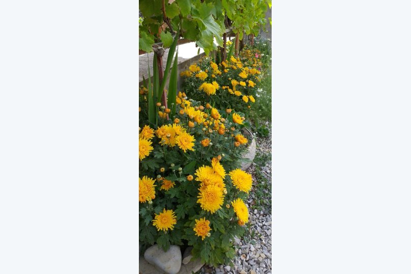 Фото Marina Garden