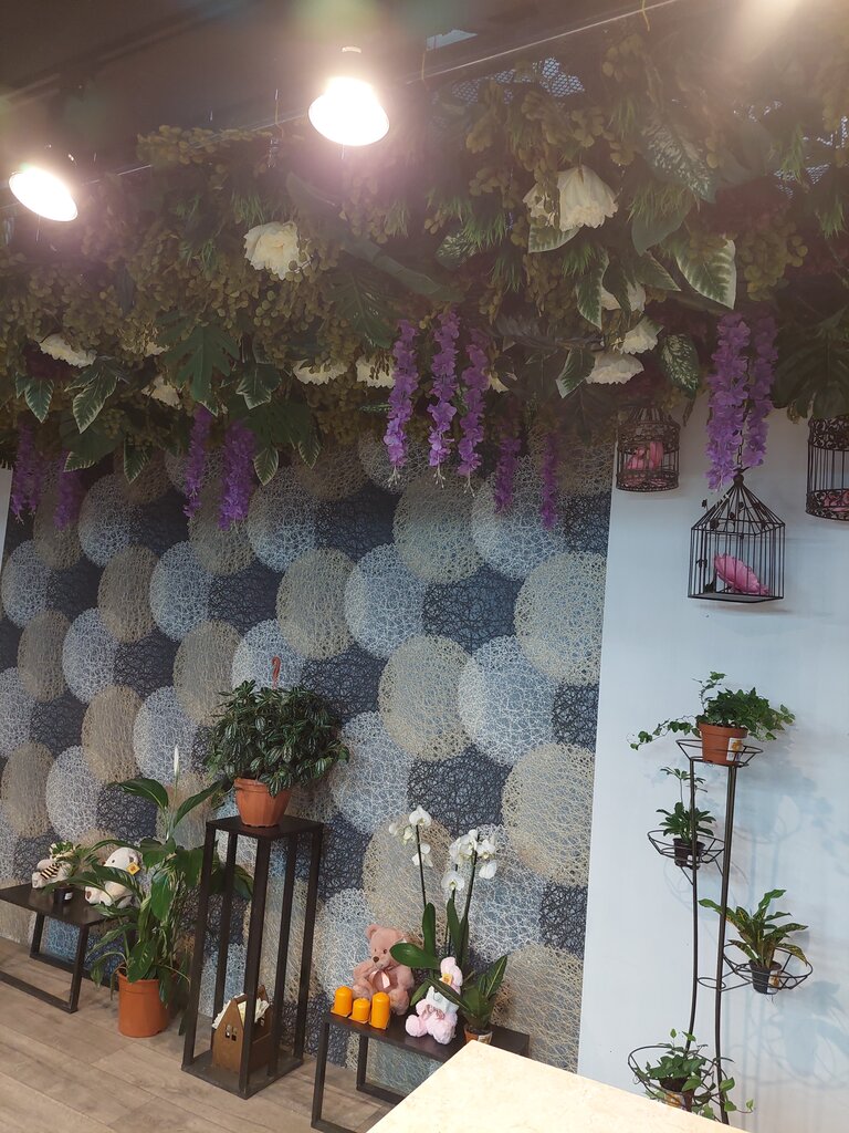 Флористика и фитодизайн интерьера - 95 фото