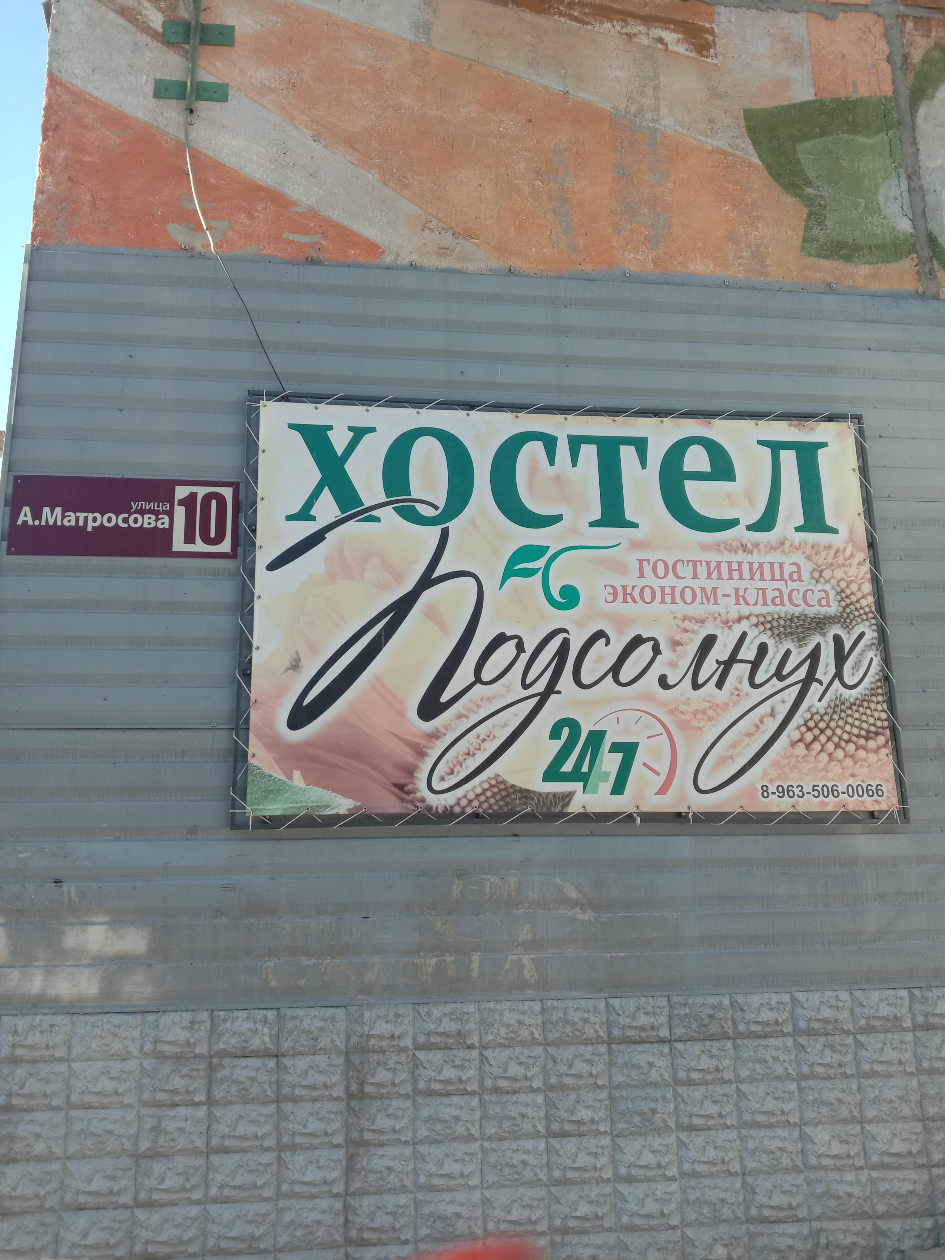 Фото Подсолнух