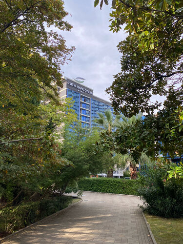 Гостиница City Park Hotel Sochi в Сочи