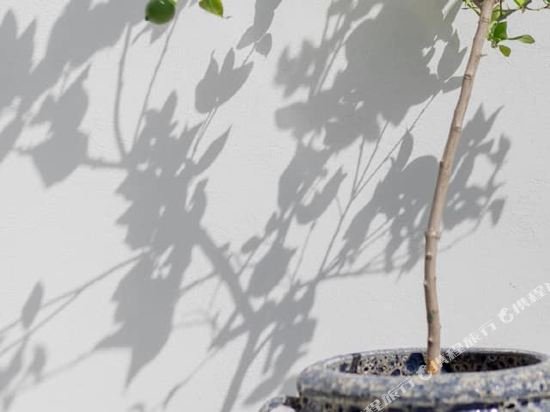 Фото Palacio Santa Clara, Autograph Collection