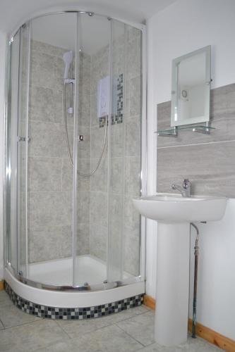 Фото Forest in City Lodge