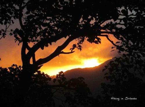 Фото Meemure isabulana resort - Hostel