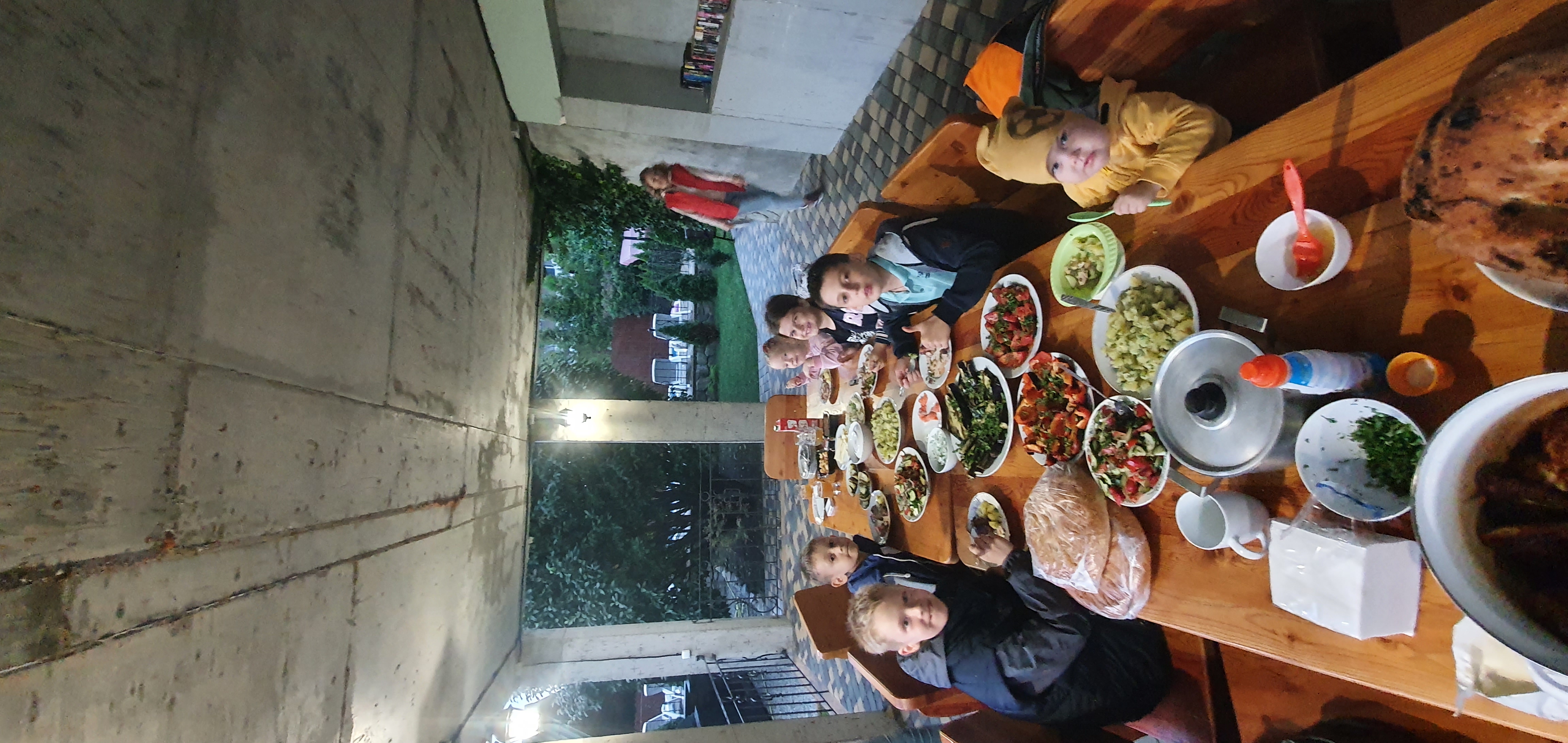 Фото Альбатрос