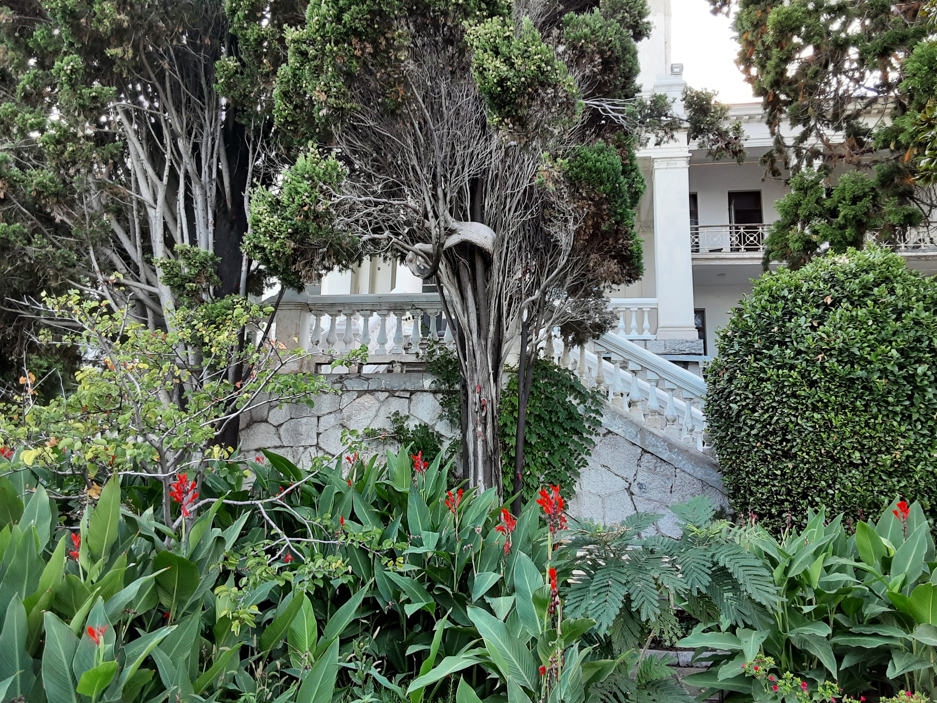 Фото Лиго Морская