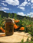 Гордость Алтая (Трактовая ул., 49А, Барнаул), мёд и продукты пчеловодства в Барнауле