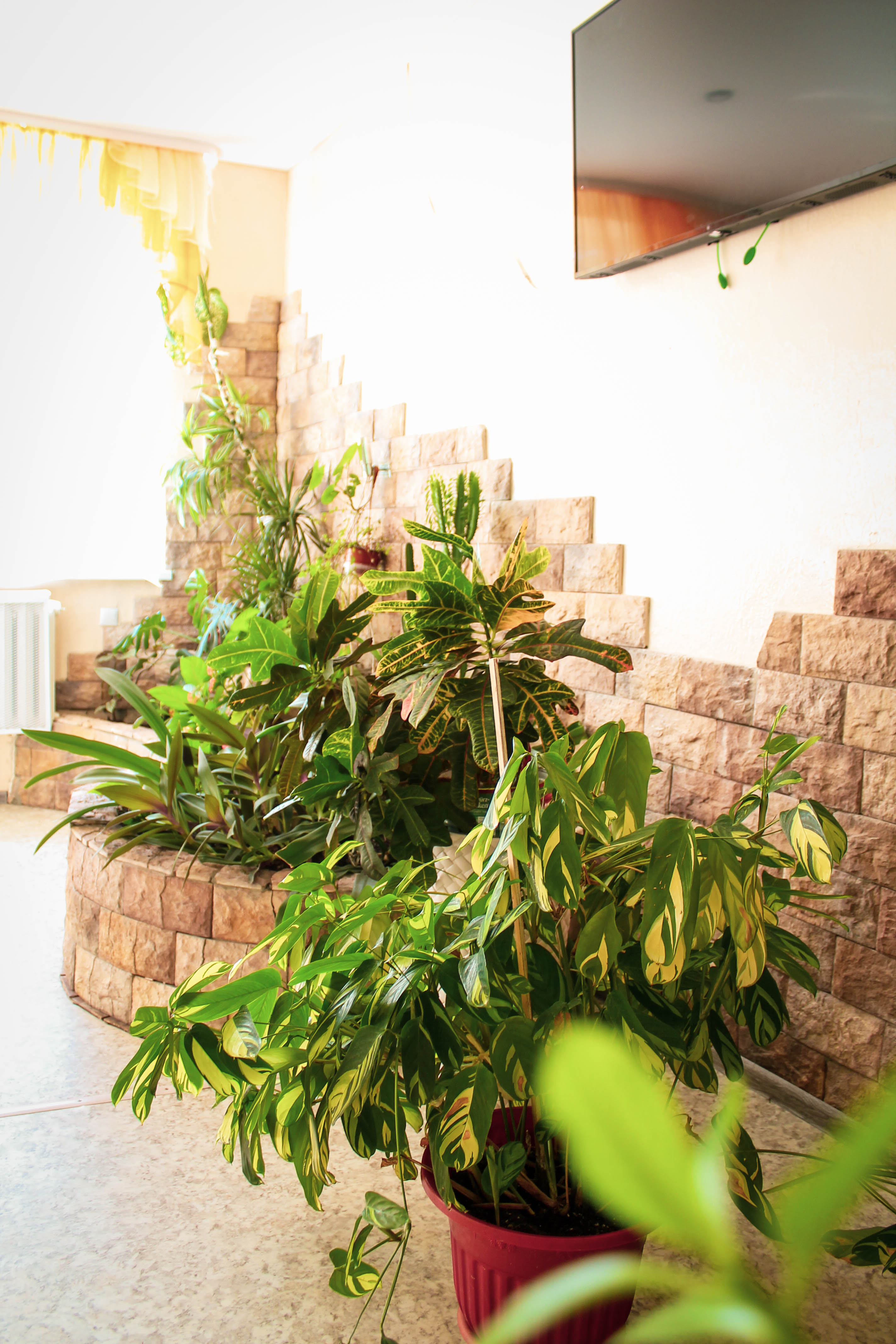 Фото Каменная гора