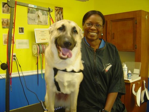 Vca Countryside Animal Hospital