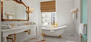 Гостиница The Plaza Hotel