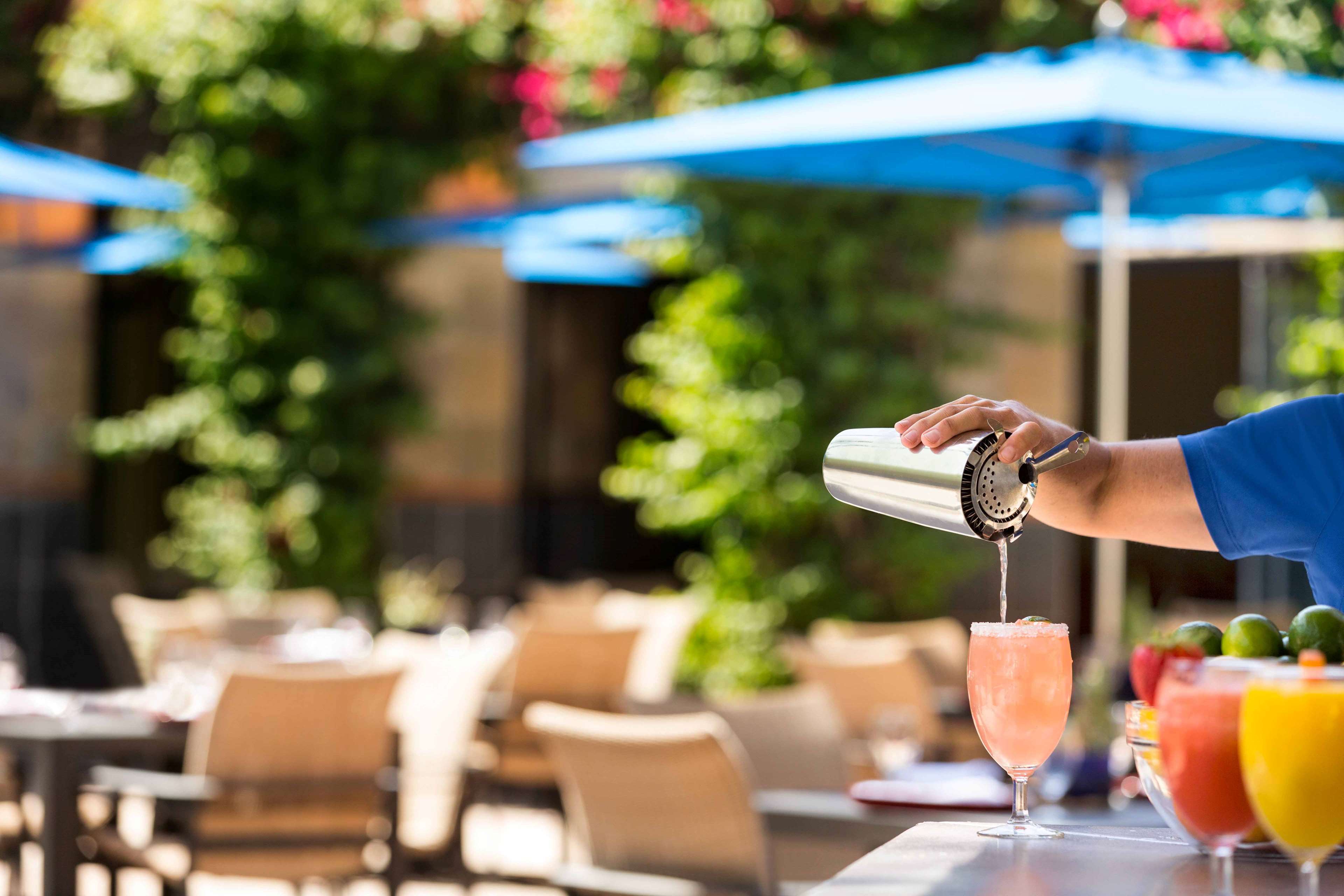 Фото Hilton Scottsdale Resort & Villas