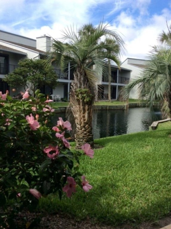 Фото Sea Winds 16