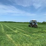 Кубанское садовое хозяйство (ulitsa Lenina, 115А), agricultural enterprise