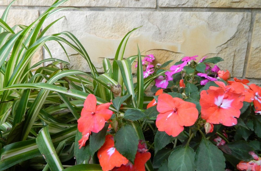 Фото Apartments Brunor