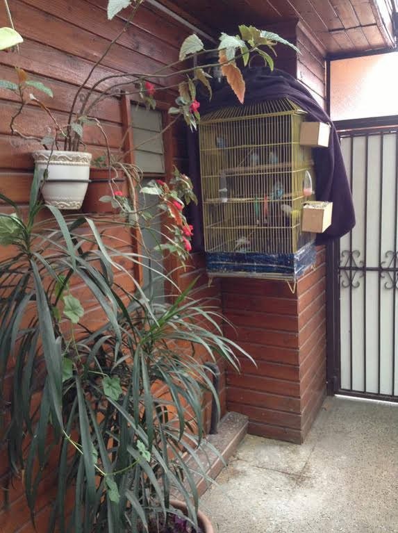 Фото Hotel Luanco