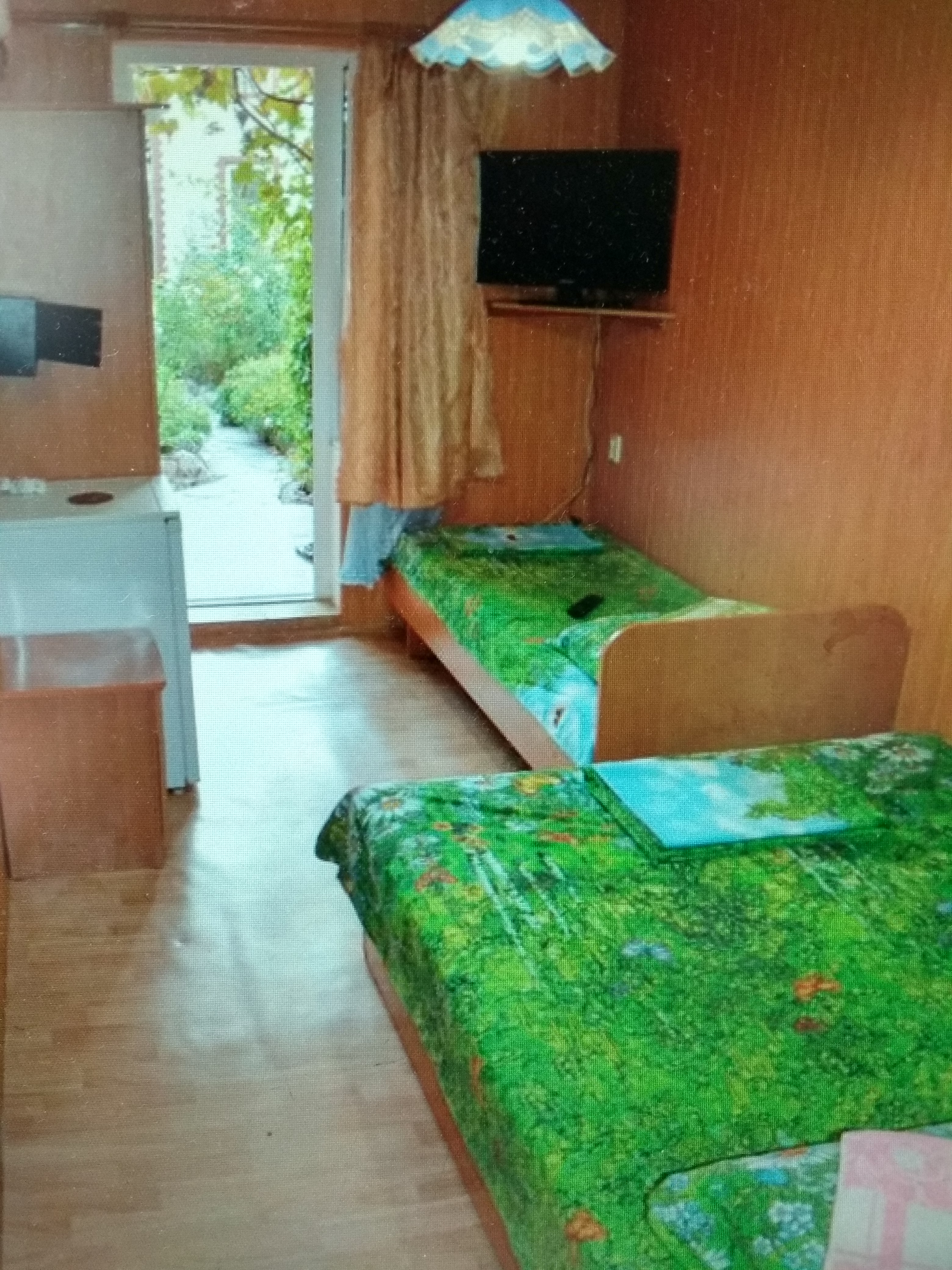 Фото Экзотик