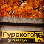 Ae Motors (Gurskaga Street, 16А), car service, auto repair