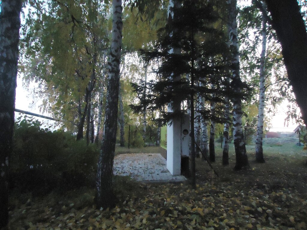 نصب تذكاري للحرب، مقبرة جماعية Стела воинам, павшим в Великой Отечественной войне ، جمهورية تتارستان، صورة