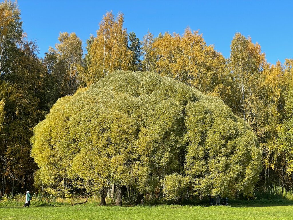 Пискаревский Парк Фото