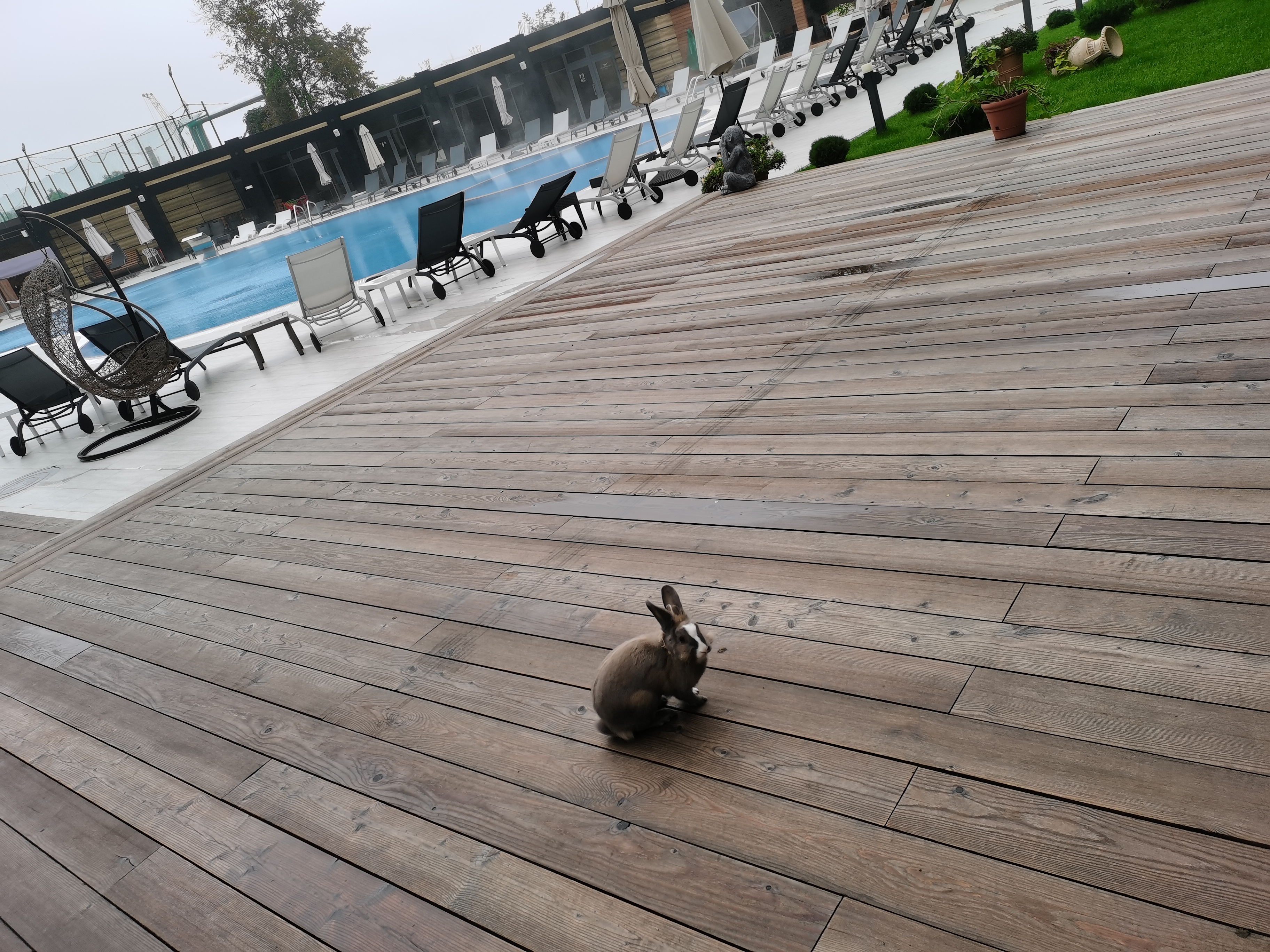 Фото Олимп Плаза