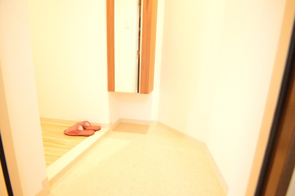 Фото Color Tsuruhashi