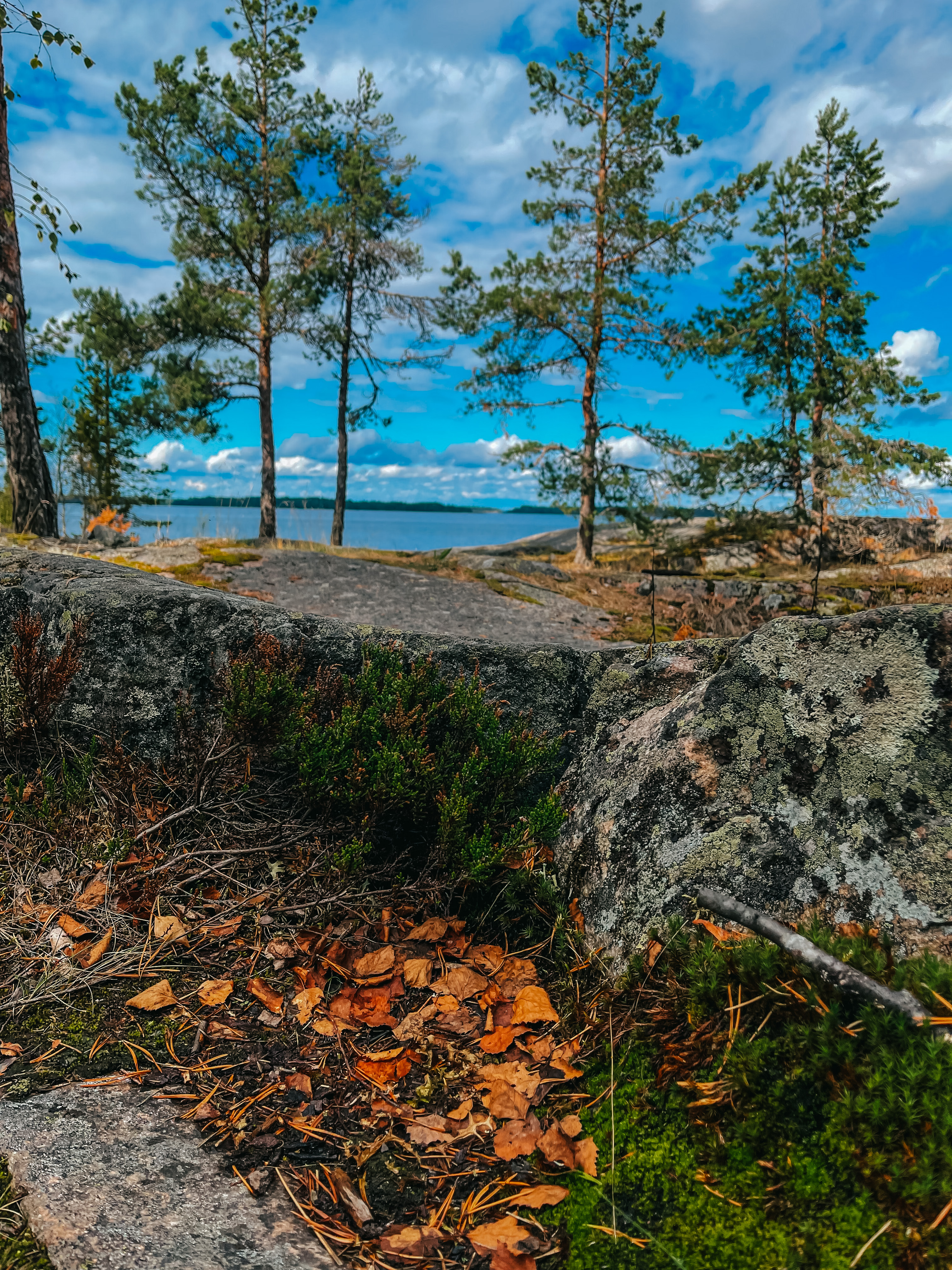 Фото Ладога озеро