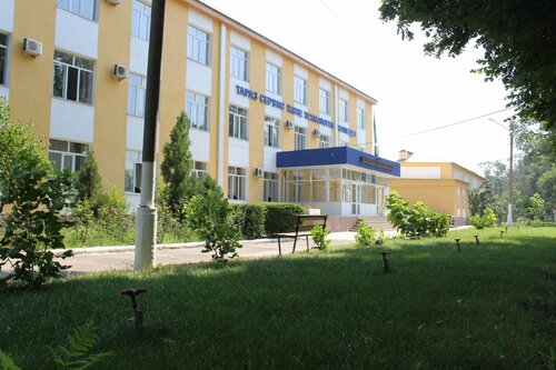 Толық метражды транспорно онлайн