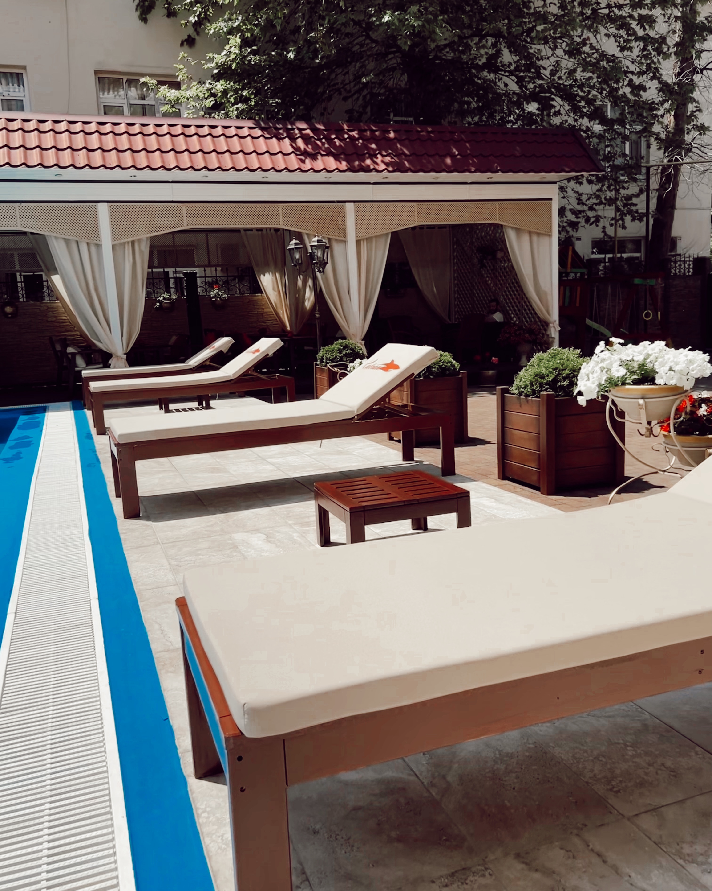 Фото Катран