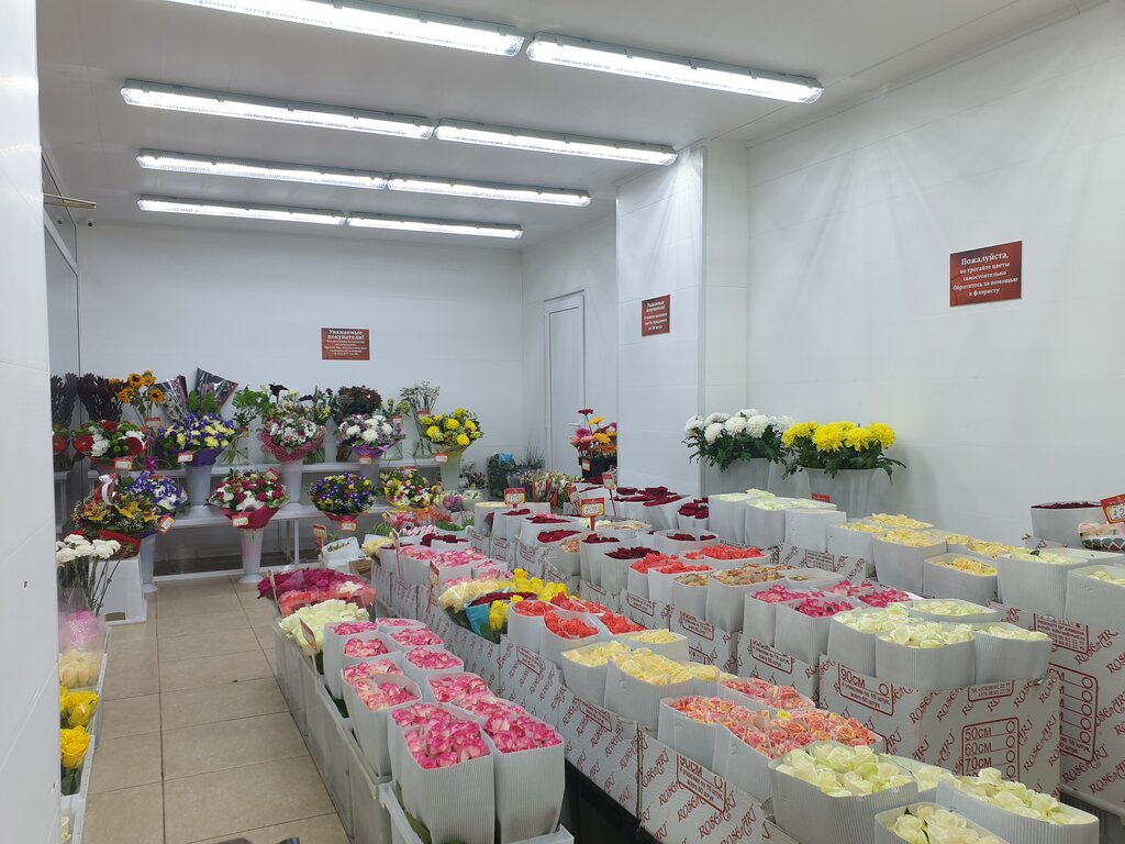 Цветочная база в москве недорого адреса цены