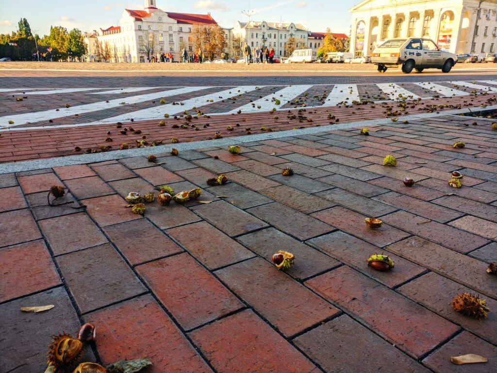 Тротуарная плитка ИП Истягин В. А., Раменское, фото