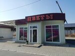 Kameliya (Mira Avenue, 49А), flower shop