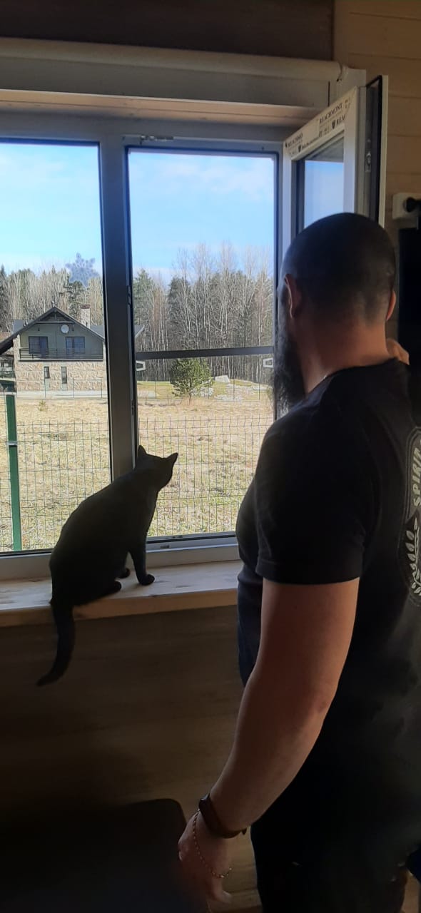 Фото Dream House