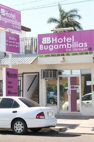Гостиница Hotel Bugambilias в Сьюдад-Обрегон