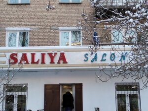 Saliya (Alisher Navoi Street, 35), peluquería