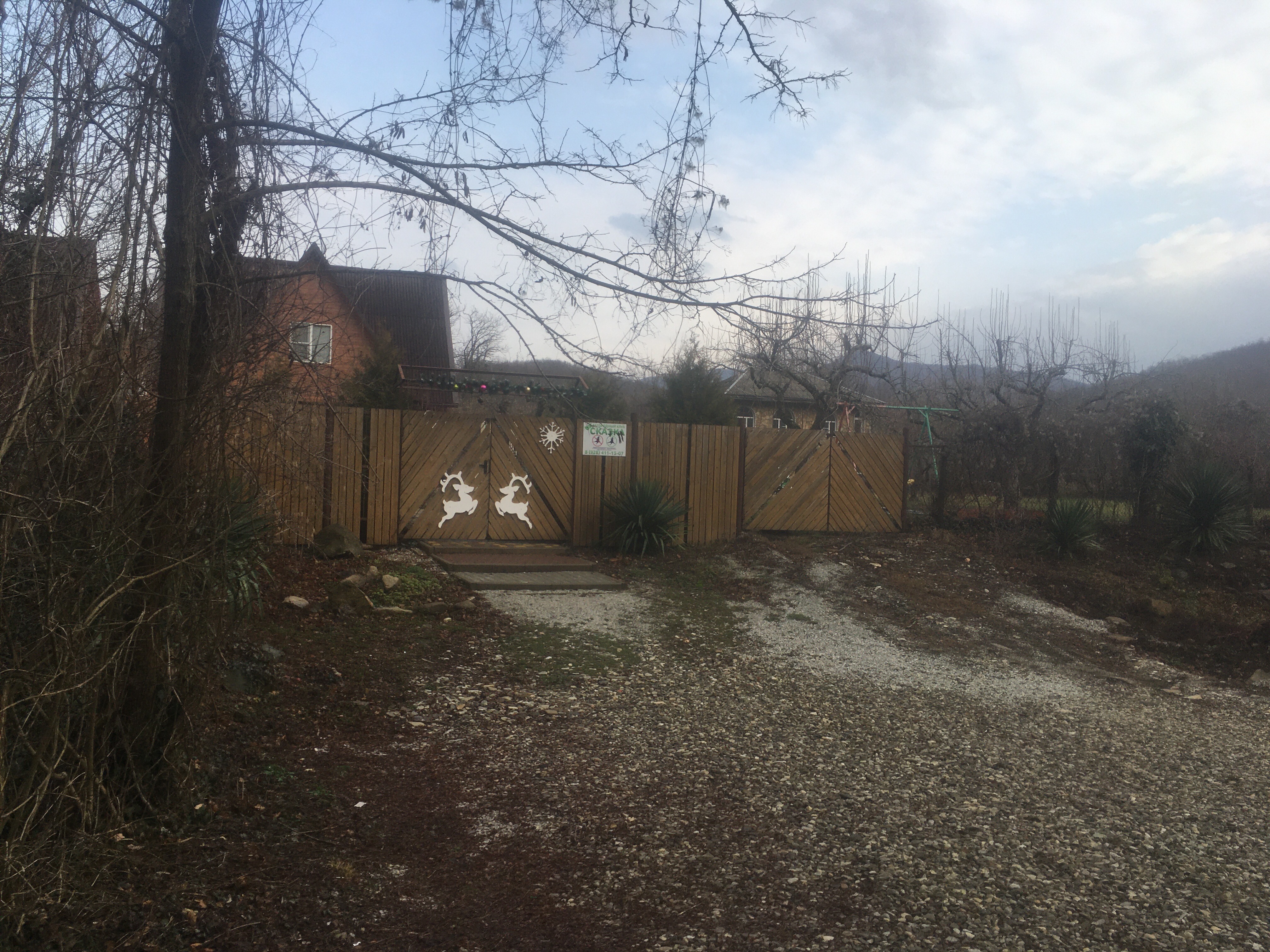 Фото Сказка