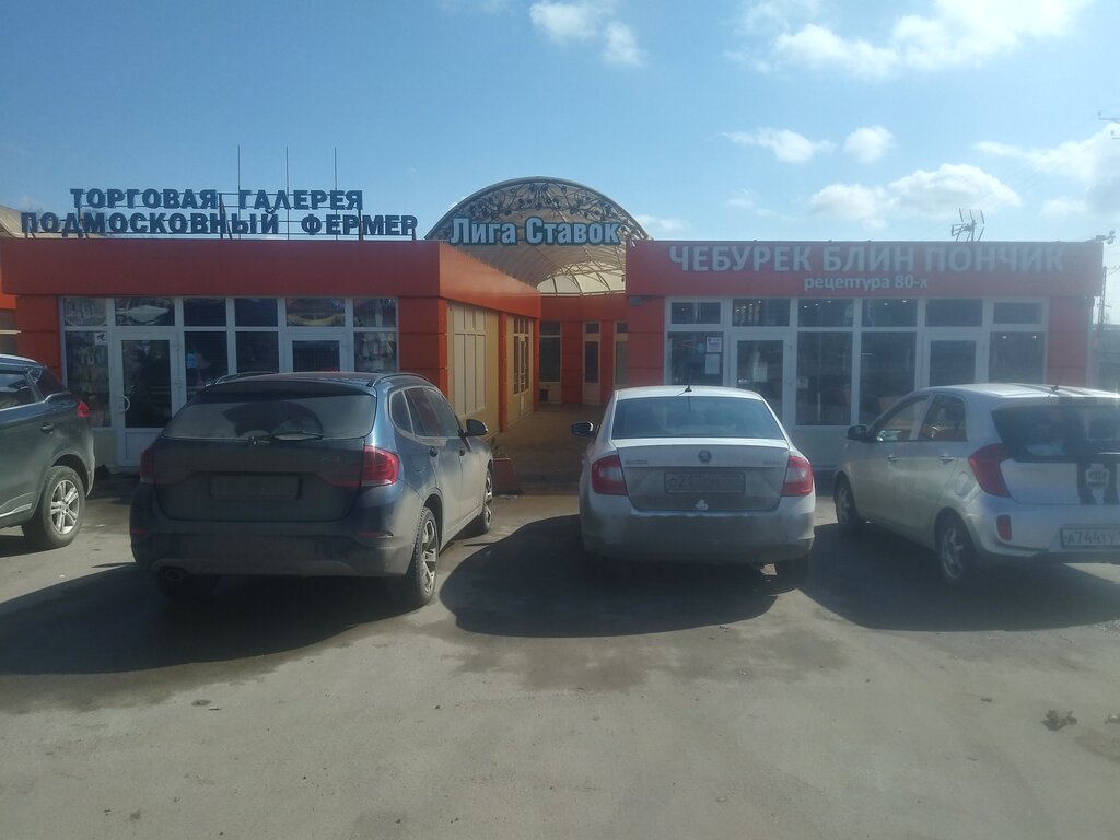 Grocery Подмосковный фермер, Istra, photo