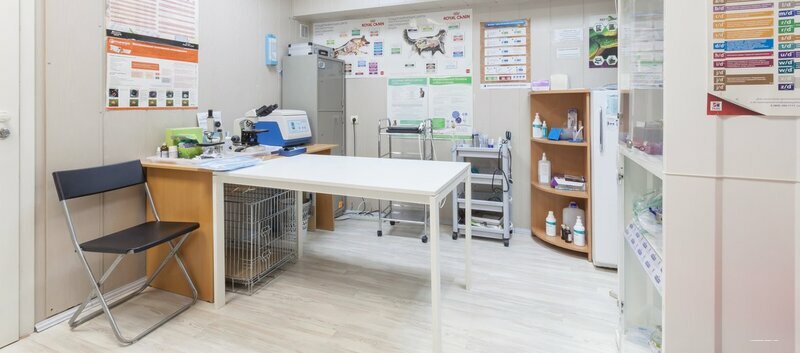 Ветеринарная клиника Алиса, Екатеринбург, фото