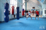 Школа тайского бокса Валентина Семёнова (бул. Строителей, 55), спортивная школа в Кемерове