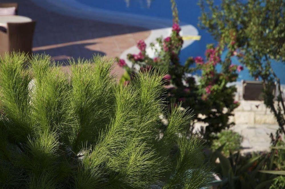 Фото Pilot's Villas Luxury Suites