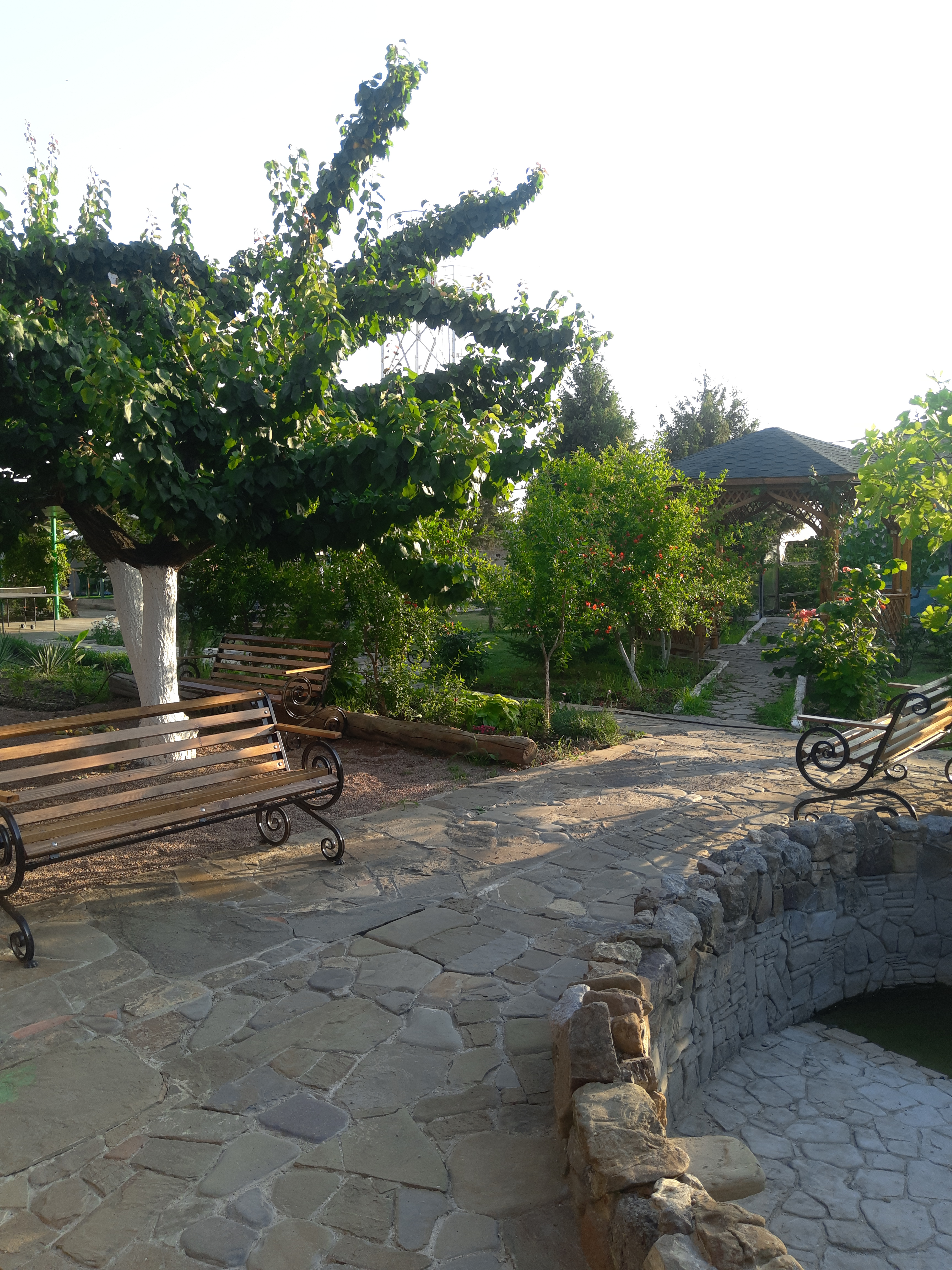 Фото Эльмаз