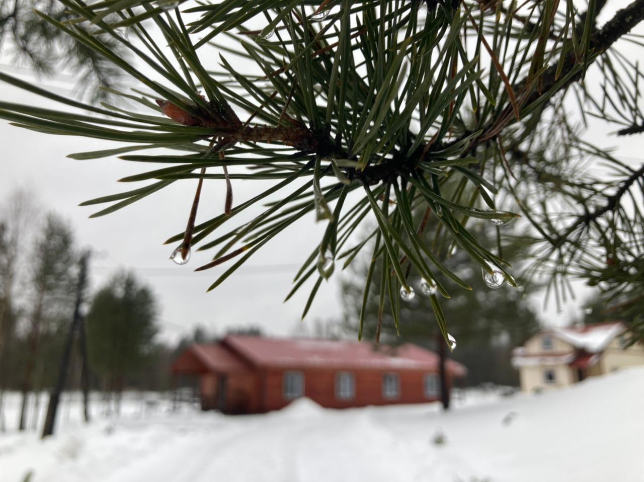 Фото Эко-хутор Ряйсяля