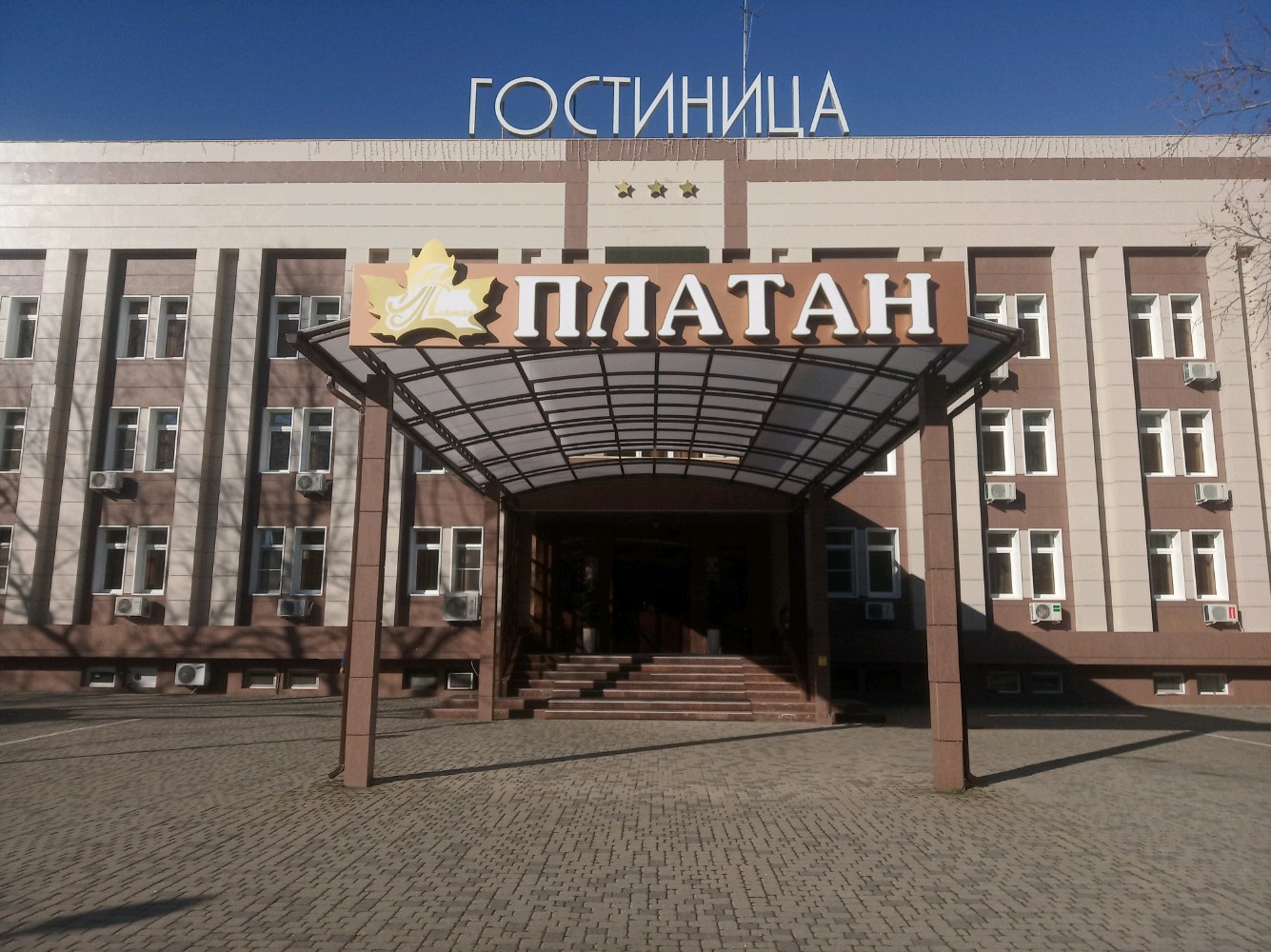 Фото Платан