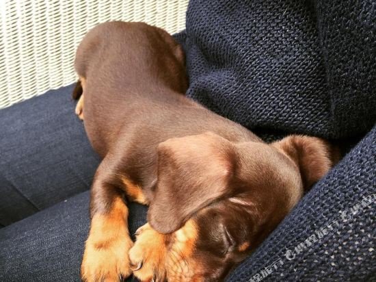 Фото Fairstowe Bed and Breakfast