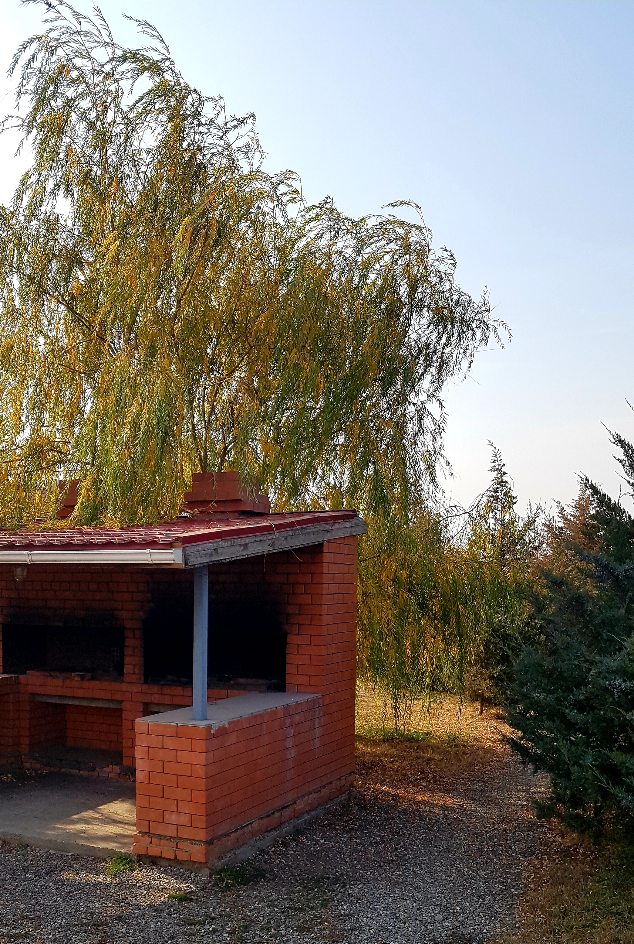 Фото Рыбалкино