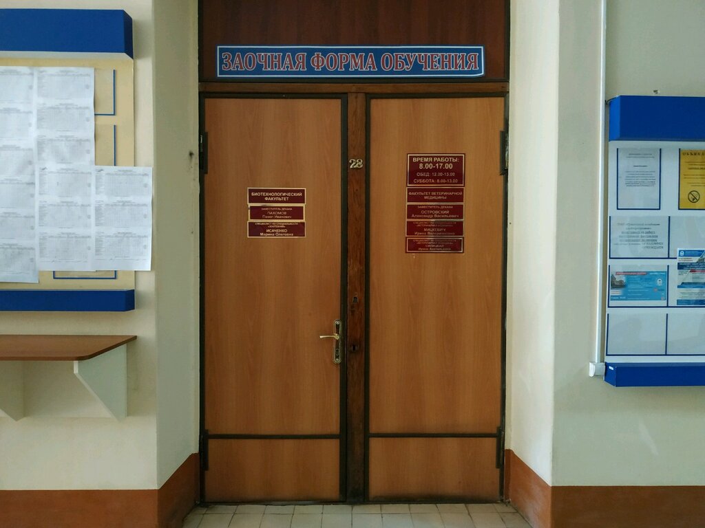 ВУЗ Вгавм, факультет ветеринарной медицины, Витебск, фото