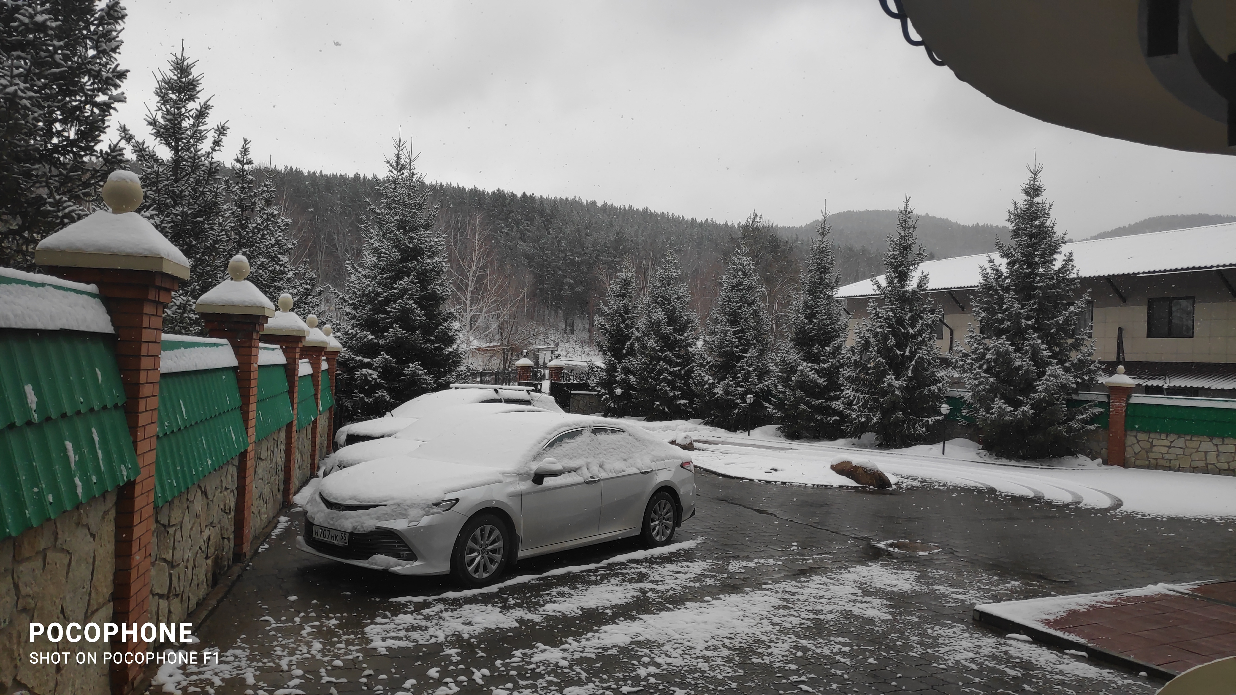 Фото Беркут