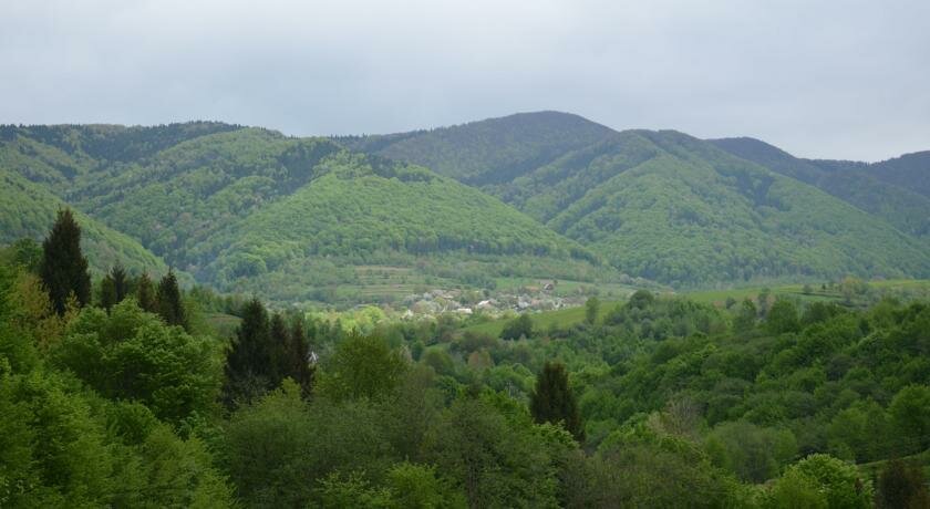 Hotel Teremok Guest House, Zakarpattia District, photo